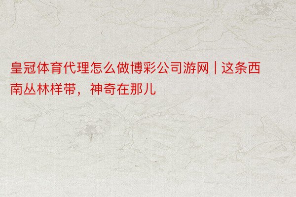 皇冠体育代理怎么做博彩公司游网 | 这条西南丛林样带，神奇在那儿