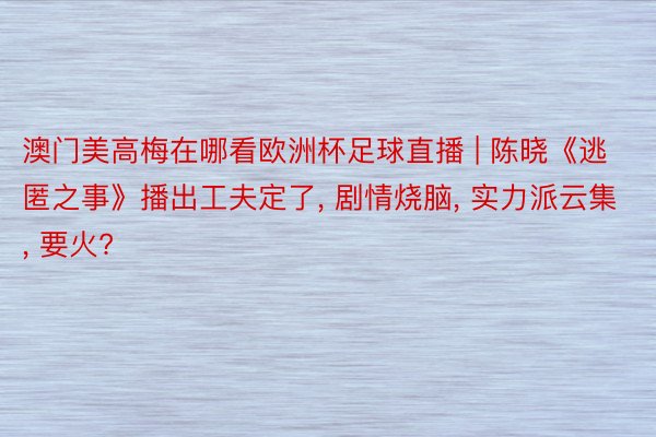 澳门美高梅在哪看欧洲杯足球直播 | 陈晓《逃匿之事》播出工夫定了, 剧情烧脑, 实力派云集, 要火?